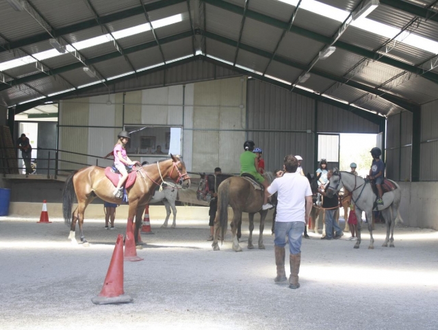 Clases de equitacion en interior